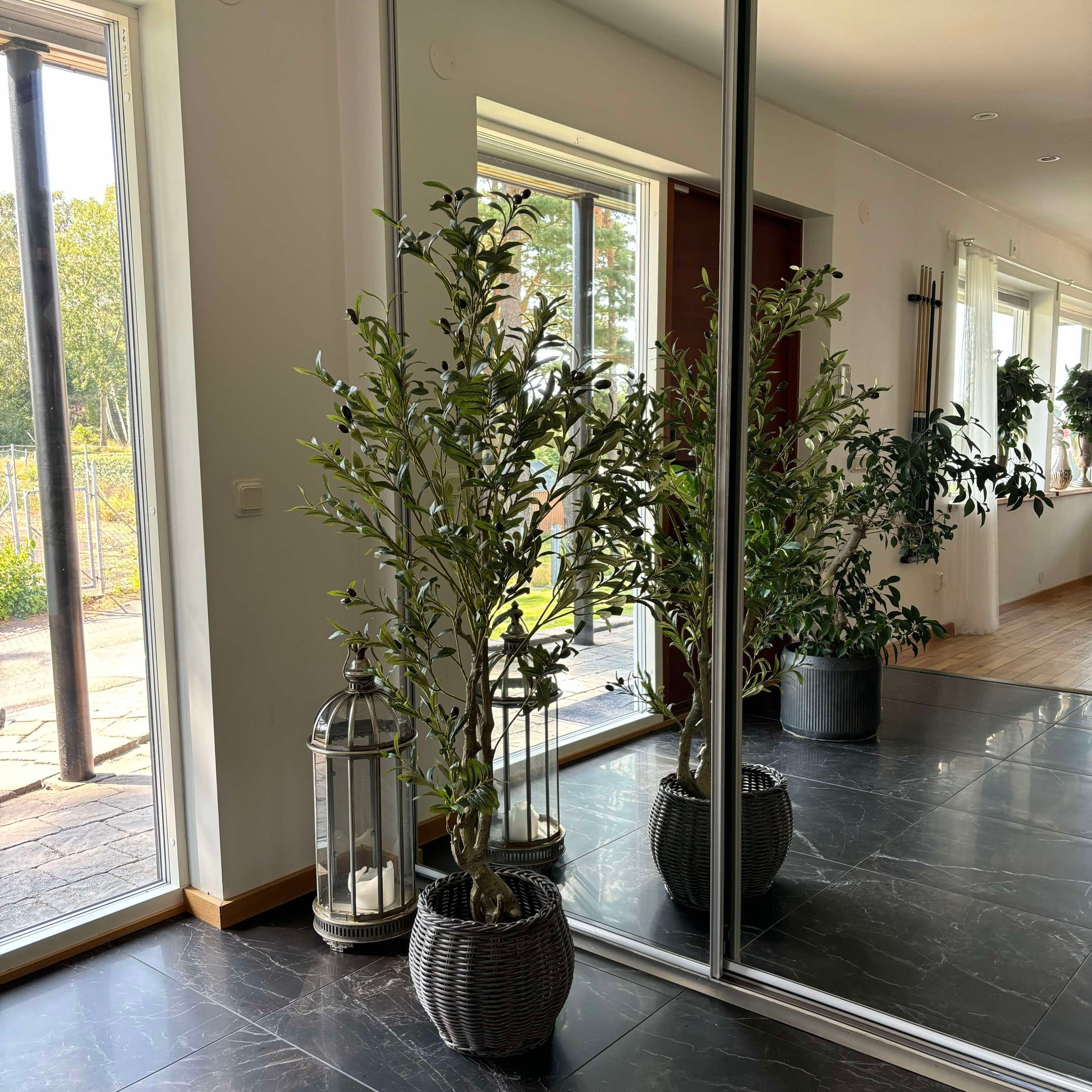 Verdessa - künstlicher Olivenbaum