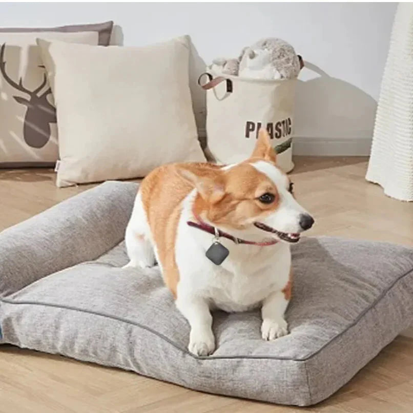 TailTrack - GPS für Katzen und Hunde