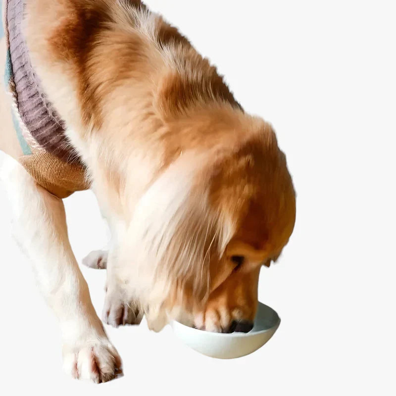 SlowSip - Flad Texturiertes Essgeschirr für Gesünderes Essen