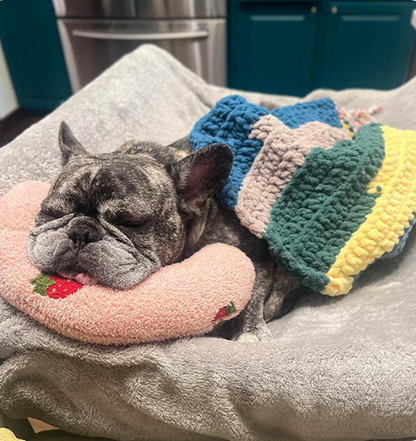 CuddleCloud - Tierkissen