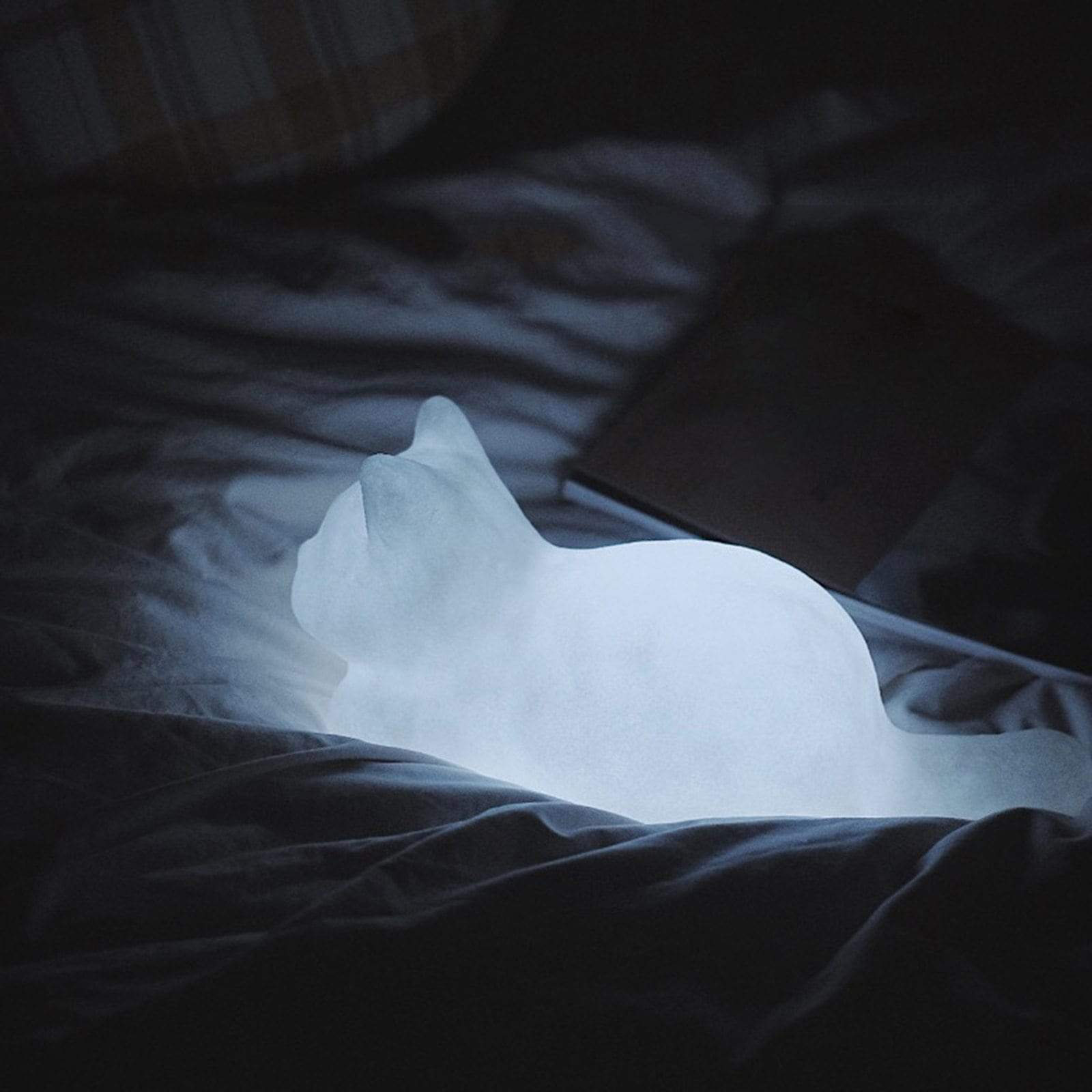 GlowPaws - Illuminierter Katzennachtlicht