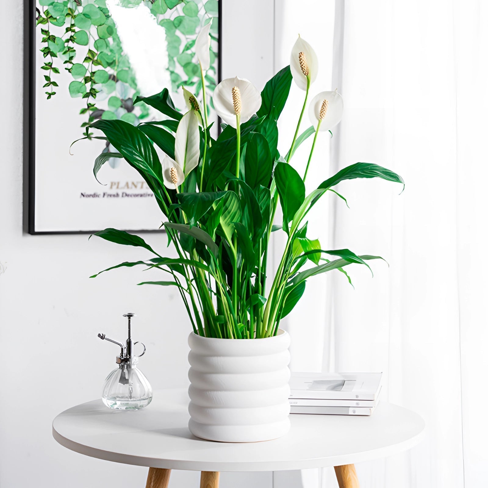 Verdéva - Moderne Indoor-Topf