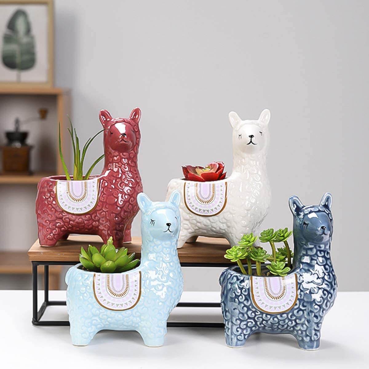 AlpacaSprout - Schöner Alpaka-Sukkulenttopf für dein Zimmer