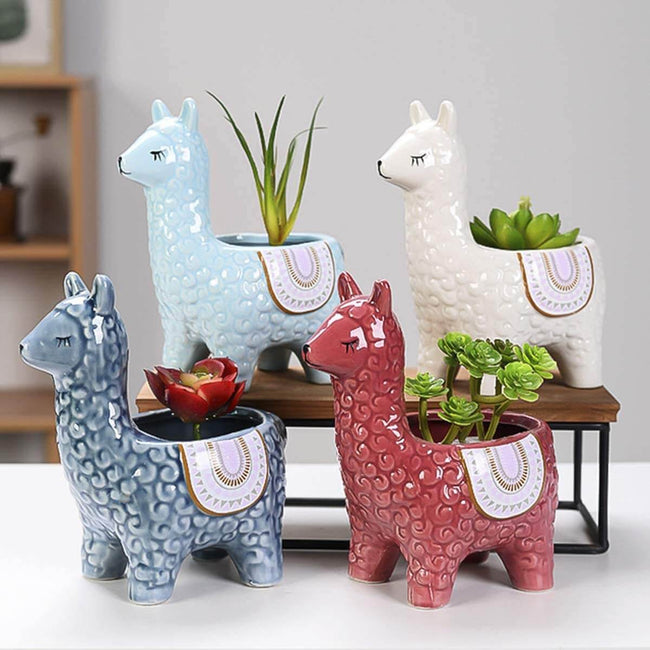 AlpacaSprout - Schöner Alpaka-Sukkulenttopf für dein Zimmer