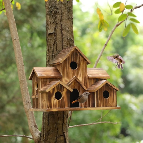 WillowNest Vogelhäuschen aus Holz