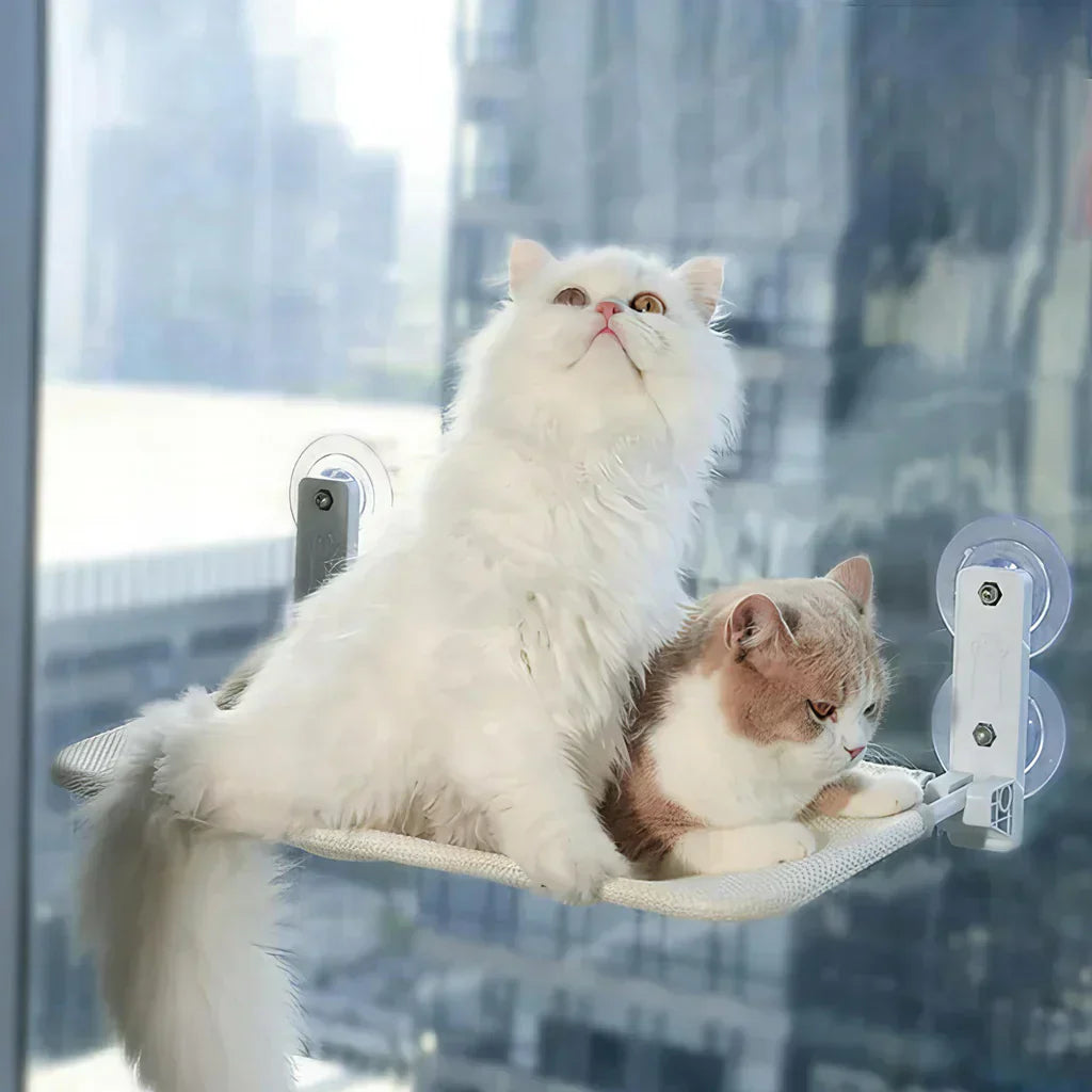 Zusammenklappbare Fensterhängematte für Katzen mit abnehmbarem Bezug und stabiler Halterung