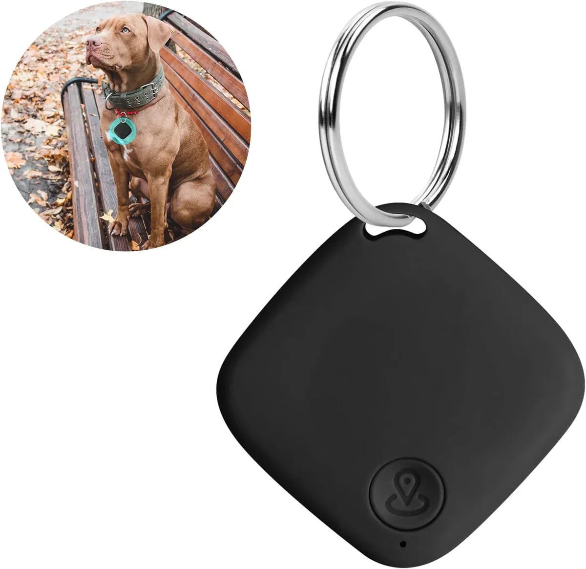 TailTrack - GPS für Katzen und Hunde