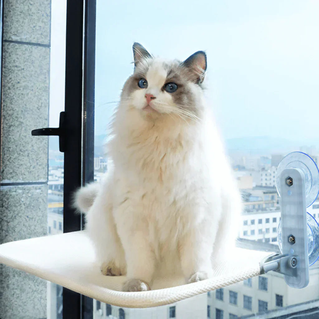 Zusammenklappbare Fensterhängematte für Katzen mit abnehmbarem Bezug und stabiler Halterung