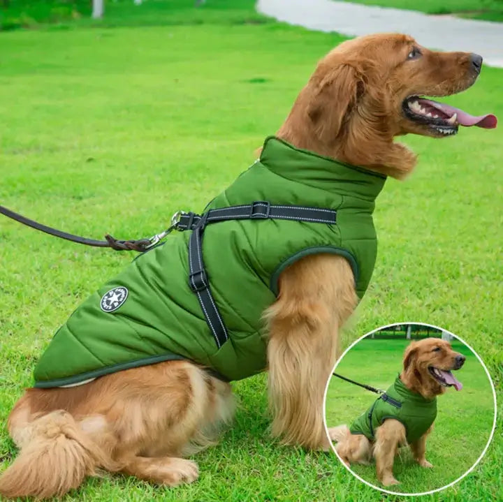 ComfyFit – praktische Hundeweste für alle Gelegenheiten