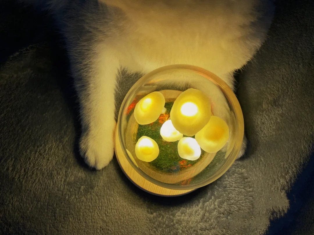 MagicalGlow - Pilz Glas-Kloche Nachttischleuchte