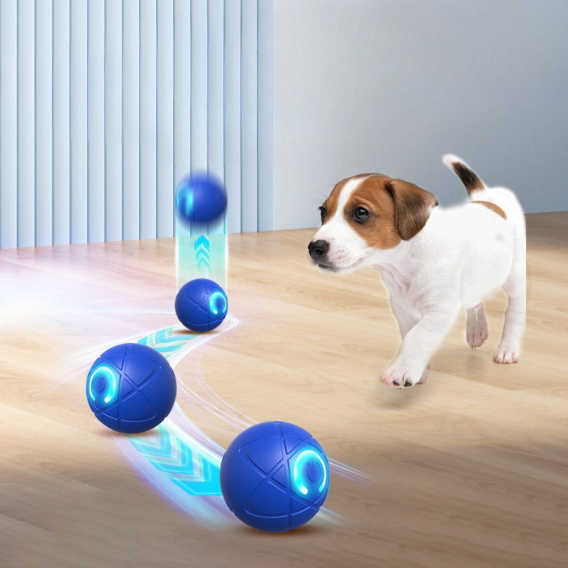 Pawlix | Strapazierfähiges Spielzeug für Ihren Hund!