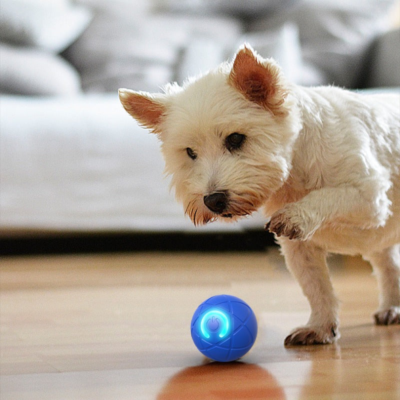 Pawlix | Strapazierfähiges Spielzeug für Ihren Hund!