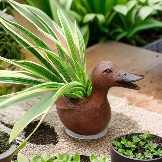 DucklingBloom – Lustige andenförmige Pflanze Topf