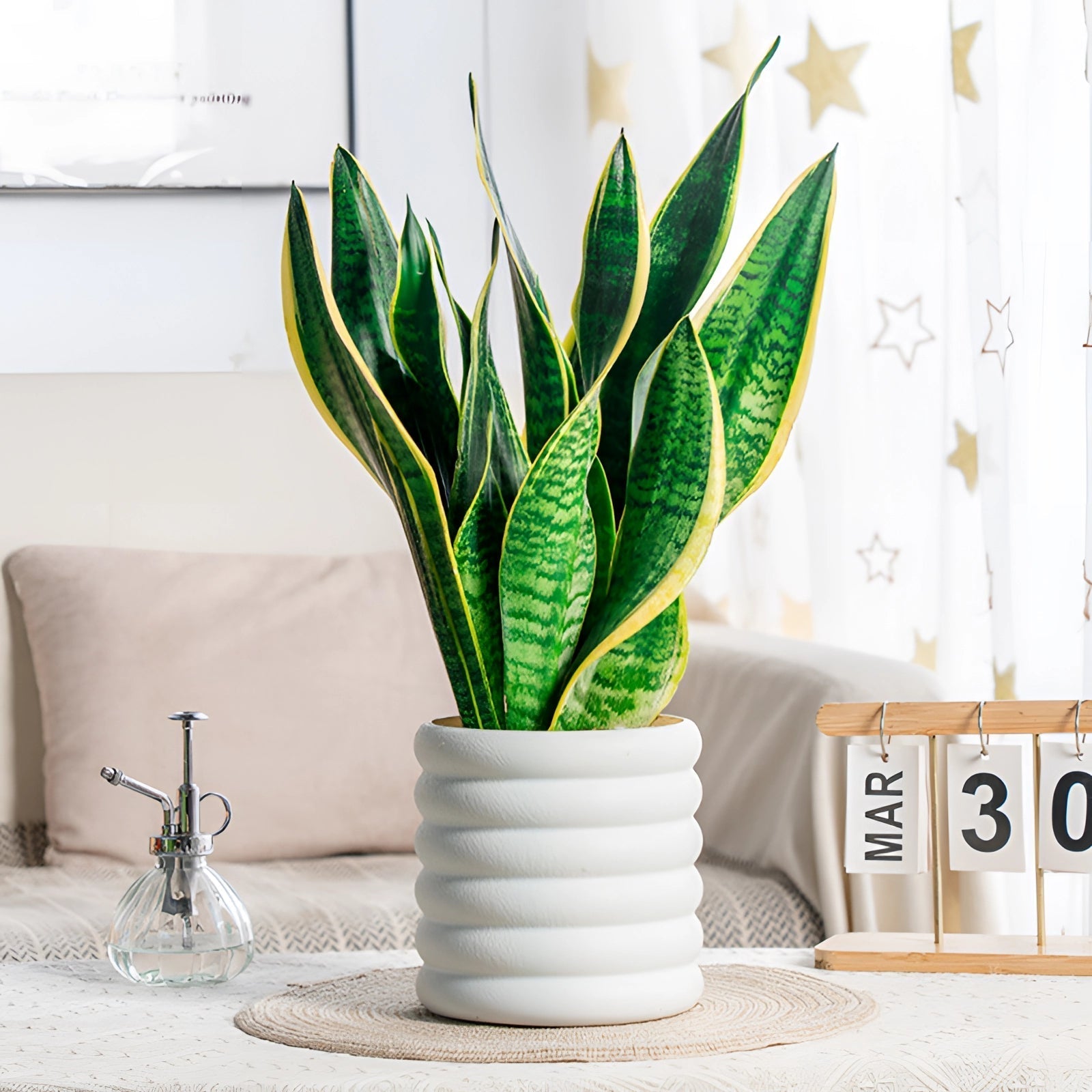 Verdéva - Moderne Indoor-Topf
