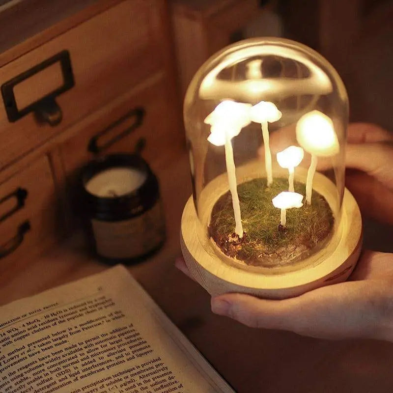 MushAura – Magische Pilzlampe