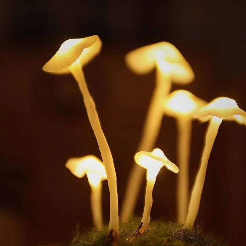 MushAura – Magische Pilzlampe