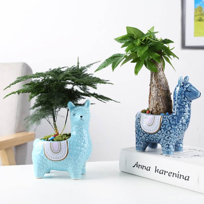 AlpacaSprout - Schöner Alpaka-Sukkulenttopf für dein Zimmer
